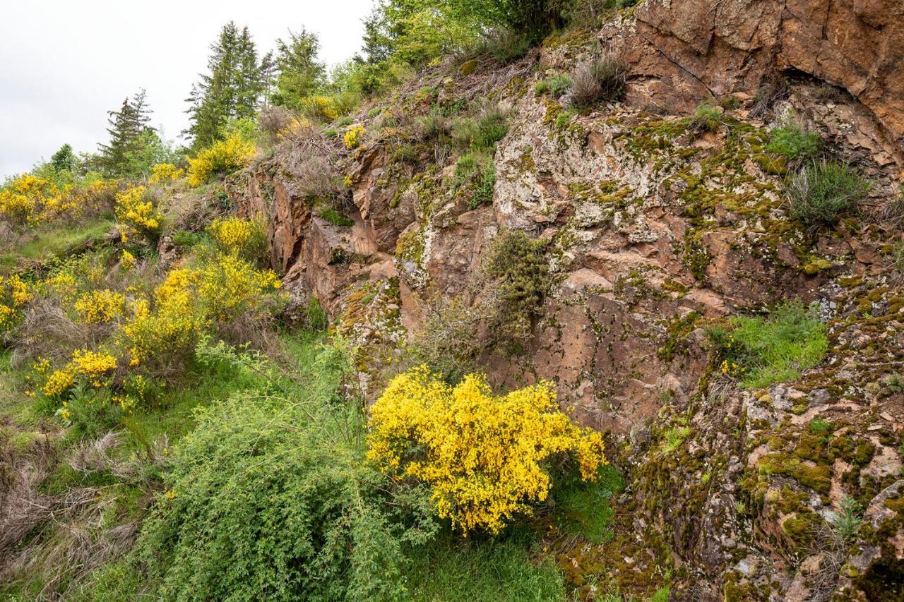Moulin Des Comtes - Chambre Les Rochers Viverols ภายนอก รูปภาพ